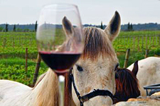 Spain-Catalonia-Coastal Gourmet Passion Ride